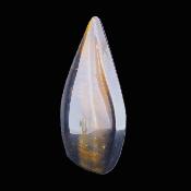 Tiger's Eye Fully Polished 'Flame' Carving.   SP17157POL