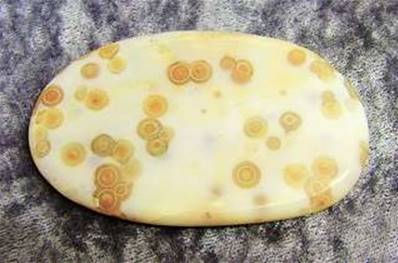 ORBICULAR JASPER POLISHED SLICE SPECIMEN (MADAGASCAR). SP4098POL