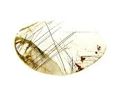 QUARTZ DOME POLISHED PEBBLE SPECIMEN FEATURING GOLDEN RUTILE INCLUSIONS.   SP10811POL