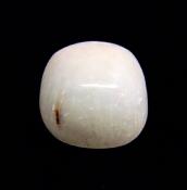 SCOLOCITE POLISHED PEBBLE SPECIMEN.   SP11276POL