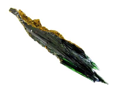 Vivianite Crystal Blades In Matrix Specimen.    SP14611