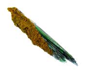 Vivianite Crystal Blades In Matrix Specimen.    SP14611