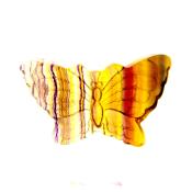 Butterfly Carving in Fluorite.   SP15101POL