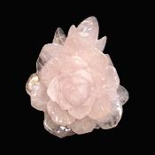 Highly Detailed, Lovely Rose Flower Carving In Rose Quartz.   SP16386SLF