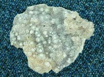 AMETHYST FLOWER PLATE SPECIMEN. 90 X 78 X 15MM APROX. 54g. SP291