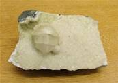 CALCITE DRUZE WITH APOPHYLITE ON MATRIX SPECIMEN. SP7163SHLF