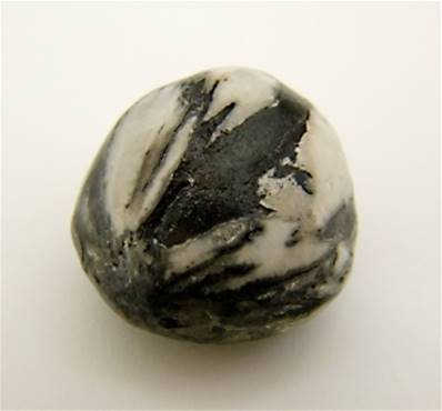 CHRYSANTHEMUM STONE POLISHED PEBBLE SPECIMEN. SP8600POL