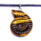 Gemstone Ammonite Pendant In Tiger's Eye On Waxed Cotton Cord.   SPR16846