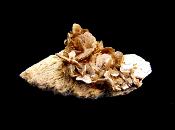 LEPIDOLITE MICA CRYSTAL FORMATION.   SP11653