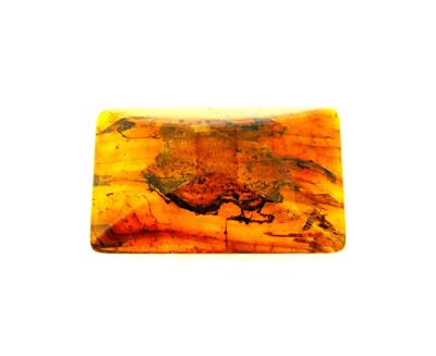 BALTIC AMBER POLISHED SPECIMEN.   SP12032POL