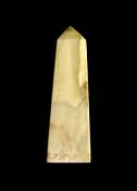 PETRIFIED WOOD OBELISK.   SP12489POL