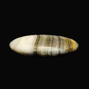 Bumble Bee Calcite Polished Oval Palm Stone.   SP16182POL