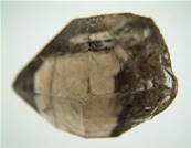 SMOKEY QUARTZ POINT SPECIMEN. SP3622