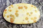 ORBICULAR JASPER POLISHED SLICE SPECIMEN (MADAGASCAR). SP4098POL