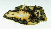 AGATE SLICE SPECIMEN. SP5397POL