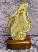 FREE STANDING PETRIFIED WOOD SLICE SPECIMEN. SP7206POL