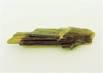 GREEN TOURMALINE CRYSTAL FAN SPECIMEN. SP7697