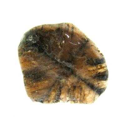 Chiastolite Cross Polished Face Slice Specimen.   SP15820POL