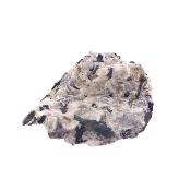 Aegirine In Synite Raw Crystal Specimen.   SP16950