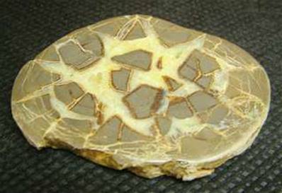 SEPTARIAN SLICE SPECIMEN.   SP2606POL