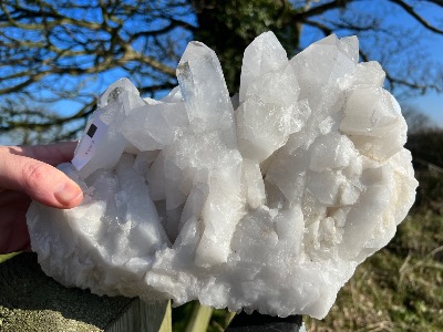 Quartz Cluster Sp14871shlf