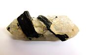 BLACK TOURMALINE CRYSTALS IN A SMOKEY QUARTZ POINT SPECIMEN.   SP10851