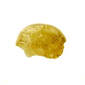 DOME POLISHED QUARTZ WITH GOLDEN RULTILE CRYSTAL SPECIMEN.   SP13236POL