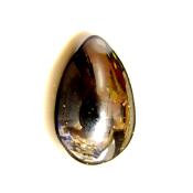 SHEEN OBSIDIAN EGG.   SP14234POL