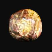 Petrified Wood Polished Pebble/ Palm Stone.   SP16020POL