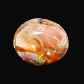 Petrified Wood Polished Pebble/ Palm Stone.   SP16021POL