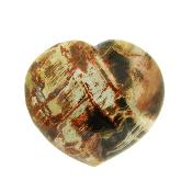 Petrified Wood Polished Heart.   SP16130POL