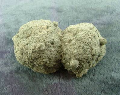 VOLCANIC BOMB SPECIMEN ORIGINATING FROM CHILE. SP6452