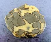 SEPTARIAN POLISHED SLICE SPECIMEN.   SP6808POL