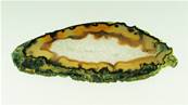 AGATE SLICE SPECIMEN. SP7047POL