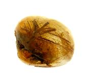 QUARTZ DOME POLISHED PEBBLE SPECIMEN FEATURING GOLDEN RUTILE INCLUSIONS.   SP10812POL