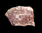 AMETHYST FLOWER CRYSTAL FORMATIONS.   SP11371