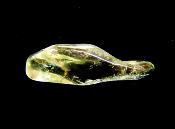 PRASIOLITE POLISHED PEBBLE SPECIMEN.   SP11835POL