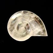 CARVING OF AN AMMONITE IN QUARTZ.   SP13898POL