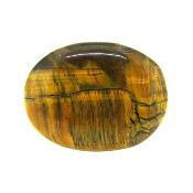 Tiger's Eye Polished Palmstone.   SP15890POL