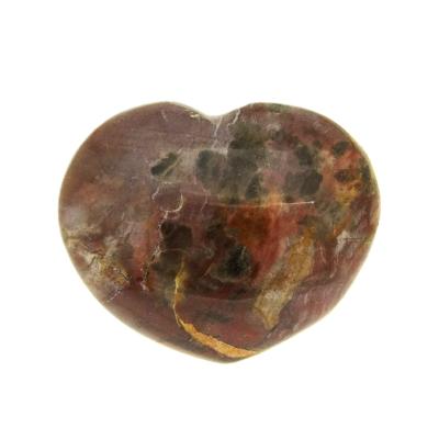 Petrified Wood Polished Heart.   SP16128POL