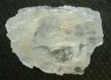 HALITE