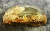 DOME POLISHED QUARTZ PEBBLE SPECIMEN. SP3417POL