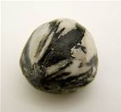 CHRYSANTHEMUM STONE POLISHED PEBBLE SPECIMEN. SP8600POL