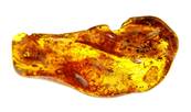 POLISHED BALTIC AMBER SPECIMEN. SP8617POL