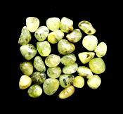 EPIDOT IN PREHNITE POLISHED TUMBLE STONES.   SPR12246POL