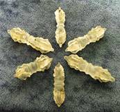 INDIAN QUARTZ MINI VAJRA WANDS. SPR8274POL