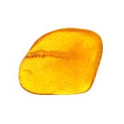 Baltic Amber Dome Polished Specimen.   SP15592POL