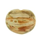 Petrified Wood Polished Heart.   SP16129POL