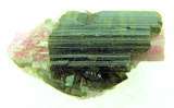 WATERMELON TOURMALINE SPECIMENS