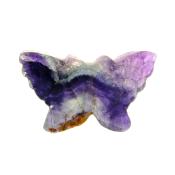 Butterfly Carving in Fluorite.   SP15095POL